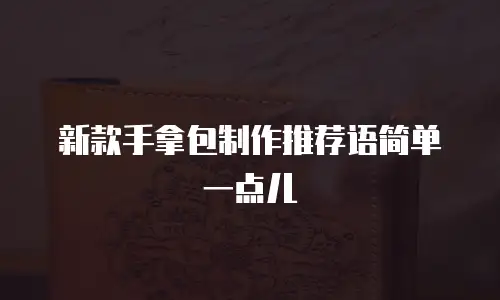新款手拿包制作推荐语简单一点儿