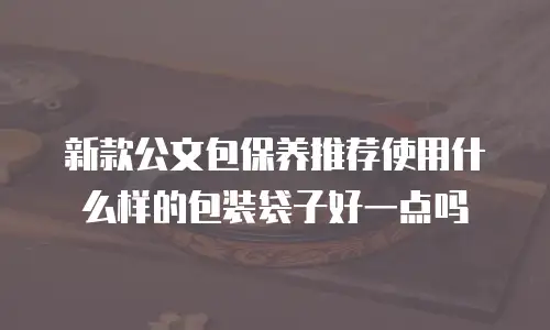 新款公文包保养推荐使用什么样的包装袋子好一点吗