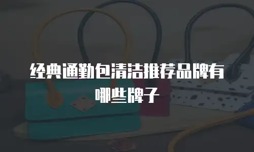 经典通勤包清洁推荐品牌有哪些牌子