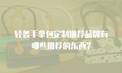 轻奢手拿包定制推荐品牌有哪些推荐的东西？