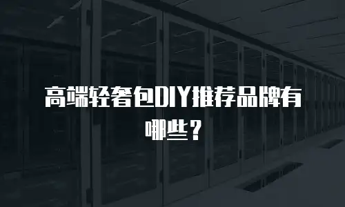 高端轻奢包DIY推荐品牌有哪些？