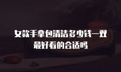 女款手拿包清洁多少钱一双最好看的合适吗
