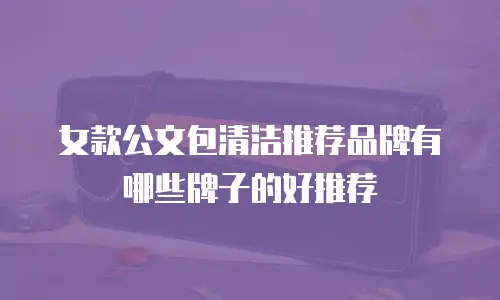 女款公文包清洁推荐品牌有哪些牌子的好推荐