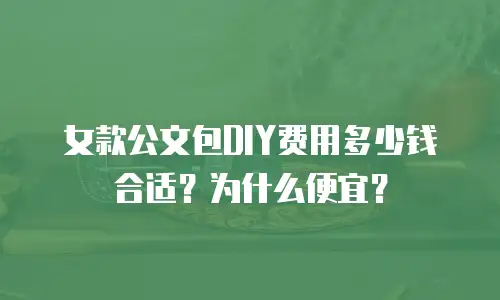 女款公文包DIY费用多少钱合适？为什么便宜？