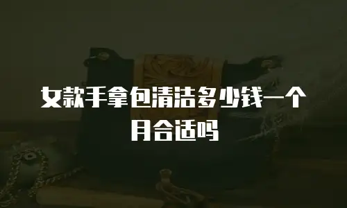 女款手拿包清洁多少钱一个月合适吗
