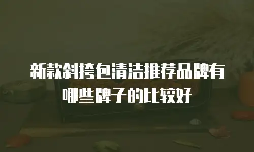 新款斜挎包清洁推荐品牌有哪些牌子的比较好