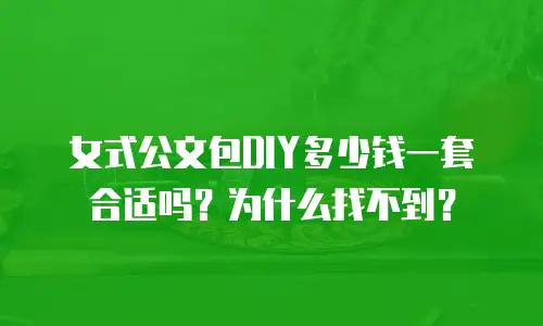 女式公文包DIY多少钱一套合适吗？为什么找不到？