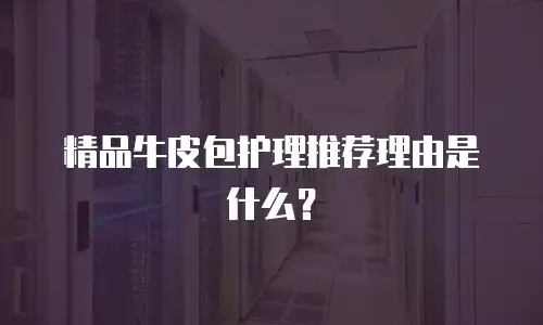 精品牛皮包护理推荐理由是什么？