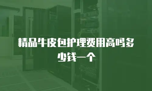 精品牛皮包护理费用高吗多少钱一个