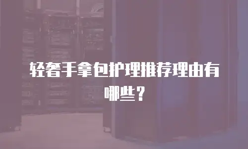 轻奢手拿包护理推荐理由有哪些？