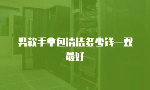 男款手拿包清洁多少钱一双最好