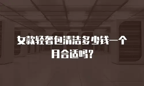 女款轻奢包清洁多少钱一个月合适吗？