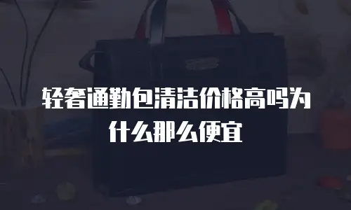 轻奢通勤包清洁价格高吗为什么那么便宜