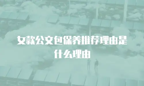 女款公文包保养推荐理由是什么理由