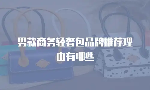 男款商务轻奢包品牌推荐理由有哪些