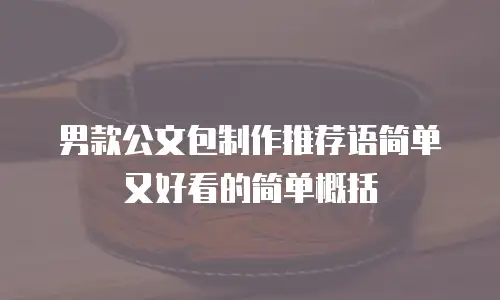 男款公文包制作推荐语简单又好看的简单概括