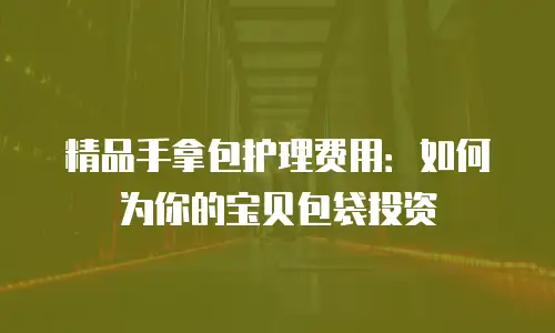精品手拿包护理费用：如何为你的宝贝包袋投资