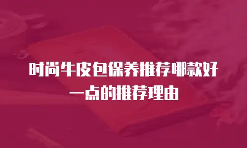 时尚牛皮包保养推荐哪款好一点的推荐理由