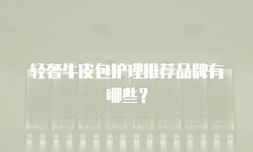 轻奢牛皮包护理推荐品牌有哪些？