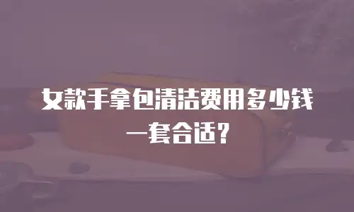 女款手拿包清洁费用多少钱一套合适？