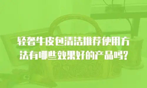 轻奢牛皮包清洁推荐使用方法有哪些效果好的产品吗?