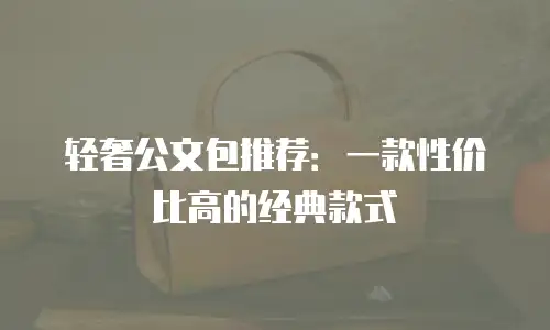 轻奢公文包推荐：一款性价比高的经典款式