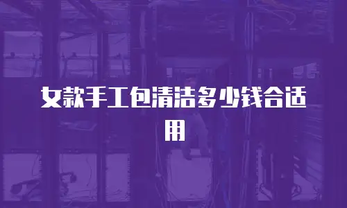 女款手工包清洁多少钱合适用