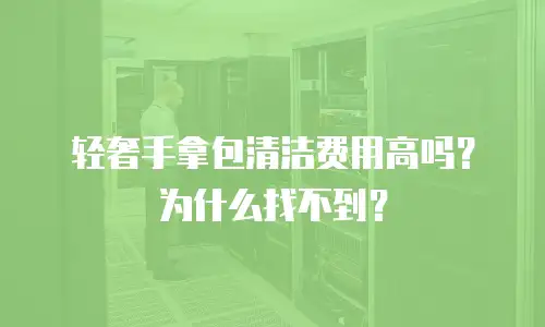 轻奢手拿包清洁费用高吗？为什么找不到？