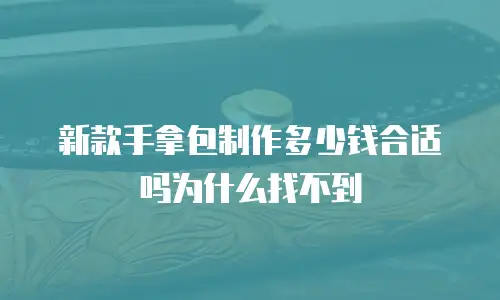 新款手拿包制作多少钱合适吗为什么找不到