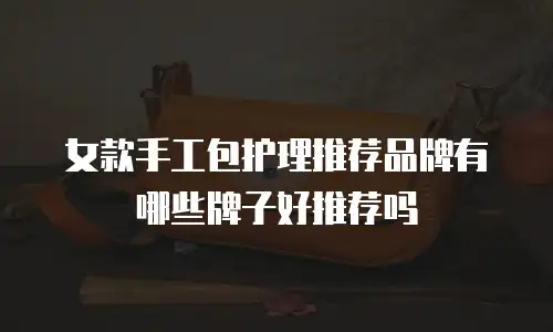 女款手工包护理推荐品牌有哪些牌子好推荐吗