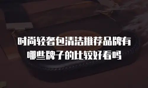 时尚轻奢包清洁推荐品牌有哪些牌子的比较好看吗