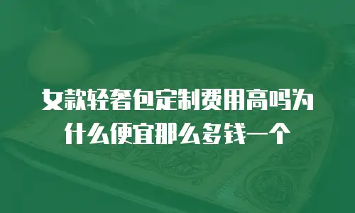 女款轻奢包定制费用高吗为什么便宜那么多钱一个