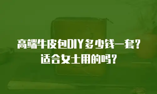 高端牛皮包DIY多少钱一套？适合女士用的吗？
