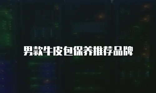 男款牛皮包保养推荐品牌