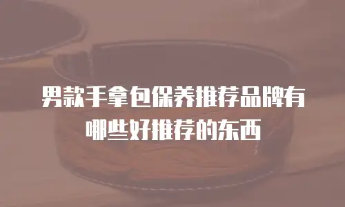 男款手拿包保养推荐品牌有哪些好推荐的东西