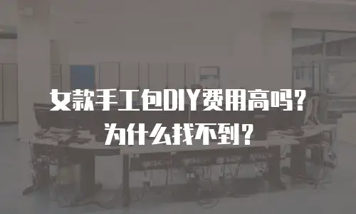 女款手工包DIY费用高吗？为什么找不到？