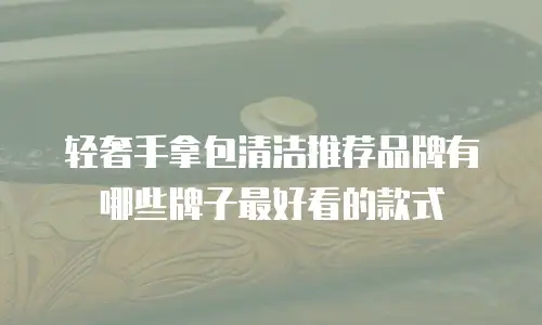 轻奢手拿包清洁推荐品牌有哪些牌子最好看的款式