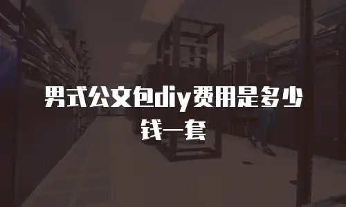 男式公文包diy费用是多少钱一套