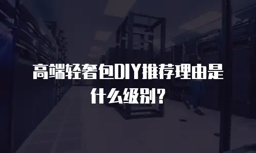 高端轻奢包DIY推荐理由是什么级别？
