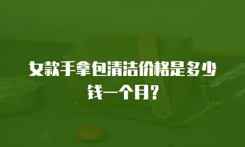 女款手拿包清洁价格是多少钱一个月？