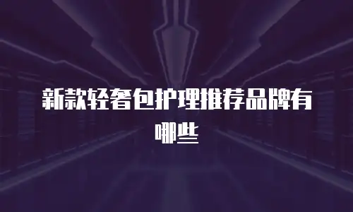 新款轻奢包护理推荐品牌有哪些