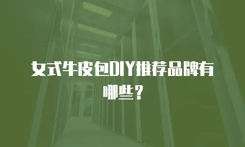 女式牛皮包DIY推荐品牌有哪些？