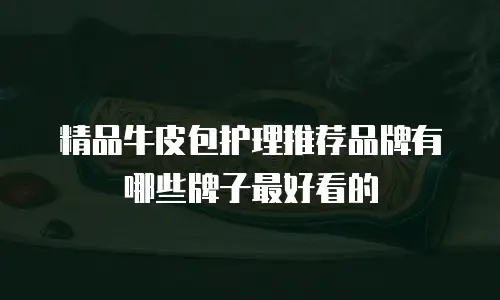 精品牛皮包护理推荐品牌有哪些牌子最好看的