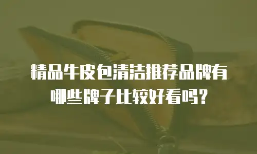 精品牛皮包清洁推荐品牌有哪些牌子比较好看吗？