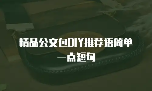 精品公文包DIY推荐语简单一点短句