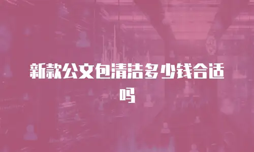 新款公文包清洁多少钱合适吗