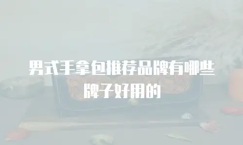 男式手拿包推荐品牌有哪些牌子好用的