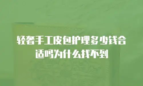 轻奢手工皮包护理多少钱合适吗为什么找不到