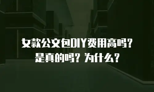 女款公文包DIY费用高吗？是真的吗？为什么？