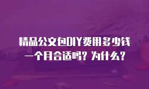 精品公文包DIY费用多少钱一个月合适吗？为什么？
